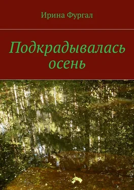 Ирина Фургал Подкрадывалась осень обложка книги
