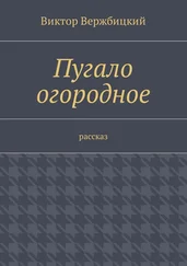 Виктор Вержбицкий - Пугало огородное. Рассказ