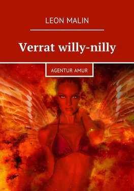 Leon Malin Verrat willy-nilly. Agentur Amur обложка книги