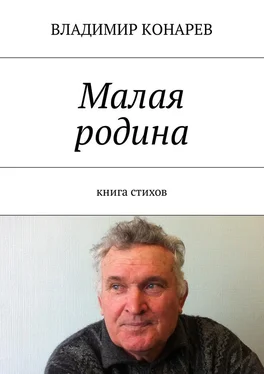 Владимир Конарев Малая родина. Книга стихов обложка книги