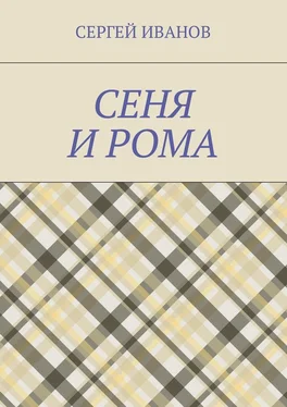 Федор Иванов Сеня и Рома обложка книги