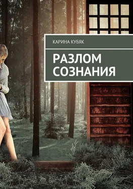 Карина Кубяк Разлом сознания обложка книги