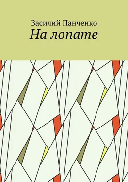 Василий Панченко На лопате обложка книги