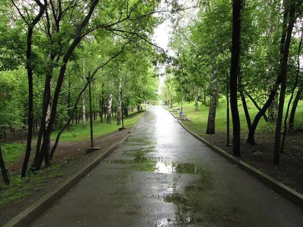 Аллея Основинского парка по которой шел Денис Люди существа самовлюбленные - фото 3