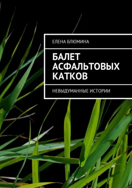 Елена Блюмина Балет асфальтовых катков. Невыдуманные истории обложка книги