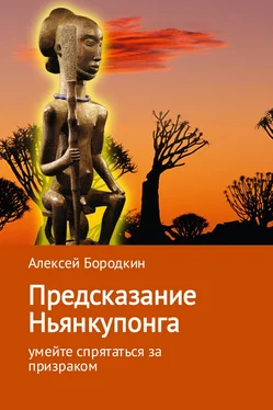 Алексей Бородкин Предсказание Ньянкупонга обложка книги