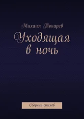 Михаил Токарев - Уходящая в ночь. Сборник стихов