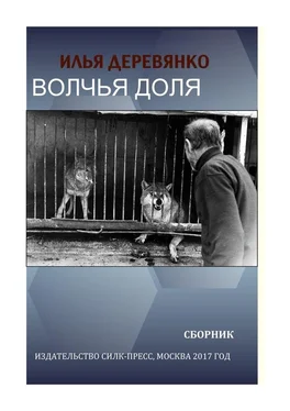 Илья Деревянко Волчья доля (сборник) обложка книги