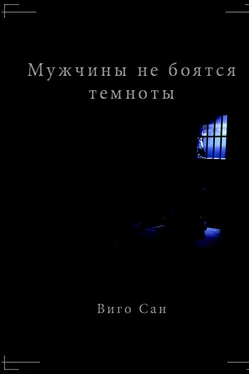 Виго Сан Мужчины не боятся темноты обложка книги