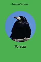 Татьяна Павлова - Клара