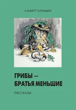 Альберт Карышев Грибы – братья меньшие (сборник) обложка книги