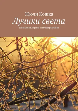 Жюли Кошка Лучики света. Пейзажная лирика с иллюстрациями обложка книги