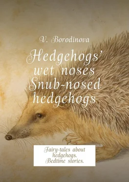 Victoria Borodinova Hedgehogs’ wet noses. Snub-nosed hedgehogs. Fairy-tales about hedgehogs. Bedtime stories. обложка книги