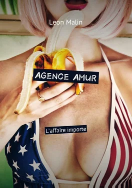 Leon Malin Agence Amur. L’affaire importe обложка книги