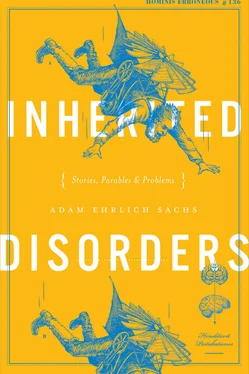 Adam Sachs Inherited Disorders: Stories, Parables & Problems обложка книги