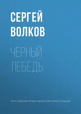 Сергей Волков Черный лебедь обложка книги