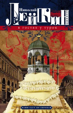 Николай Лейкин В гостях у турок. Юмористическое описание путешествия супругов Николая Ивановича и Глафиры Семеновны Ивановых через славянские земли в Константинополь обложка книги