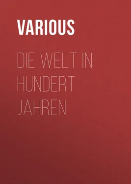 Various Die Welt in hundert Jahren обложка книги