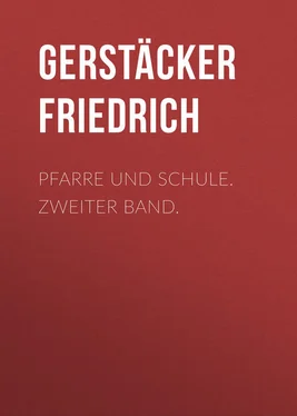 Friedrich Gerstäcker Pfarre und Schule. Zweiter Band. обложка книги