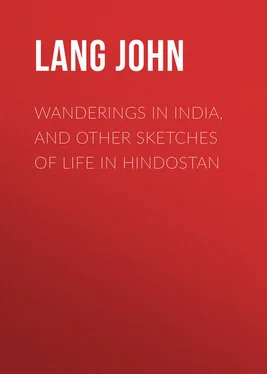 John Lang Wanderings in India, and Other Sketches of Life in Hindostan обложка книги