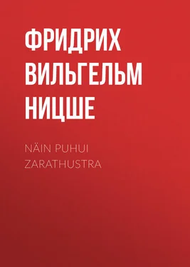 Фридрих Ницше Näin puhui Zarathustra обложка книги