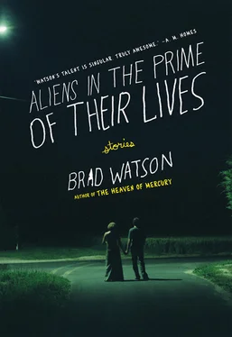 Brad Watson Aliens in the Prime of Their Lives обложка книги