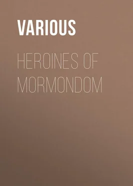 Various Heroines of Mormondom обложка книги