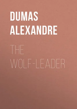 Alexandre Dumas The Wolf-Leader обложка книги