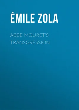 Émile Zola Abbe Mouret's Transgression обложка книги