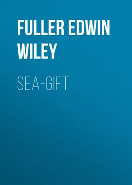 Edwin Fuller Sea-gift обложка книги