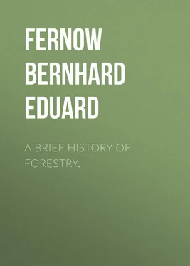 Bernhard Fernow A Brief History of Forestry. обложка книги