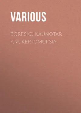 Various Boresko kaunotar y.m. kertomuksia обложка книги