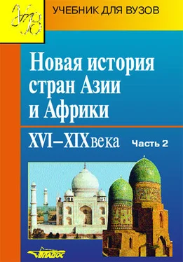 Коллектив авторов Новая история стран Азии и Африки. XVI–XIX века. Часть 2 обложка книги