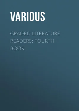 Various Graded Literature Readers: Fourth Book обложка книги