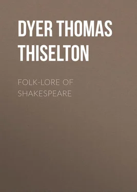 Thomas Dyer Folk-lore of Shakespeare обложка книги