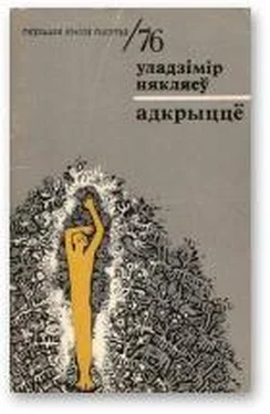 Уладзімір Някляеў Адкрыццё обложка книги