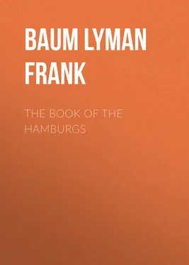 Lyman Baum The Book of the Hamburgs обложка книги