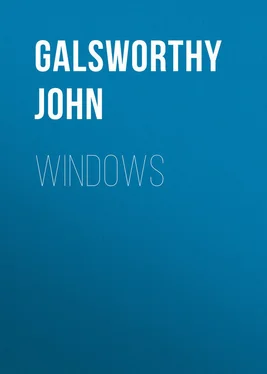 John Galsworthy Windows обложка книги