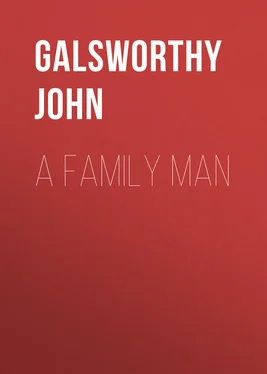 John Galsworthy A Family Man обложка книги