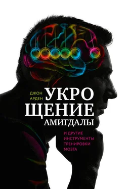 Джон Арден Укрощение амигдалы и другие инструменты тренировки мозга обложка книги