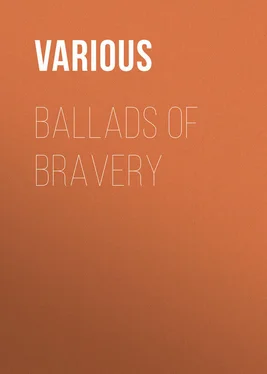 Various Ballads of Bravery обложка книги