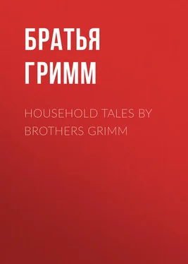 Якоб и Вильгельм Гримм Household Tales by Brothers Grimm обложка книги