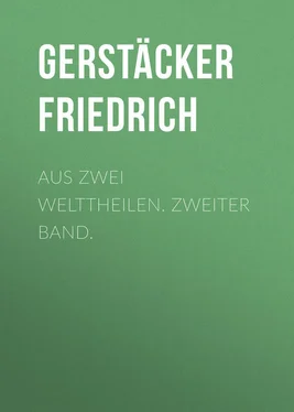 Friedrich Gerstäcker Aus zwei Welttheilen. Zweiter Band. обложка книги
