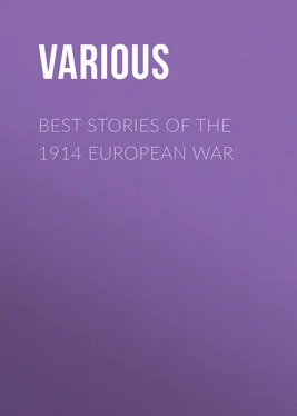 Various Best Stories of the 1914 European War обложка книги