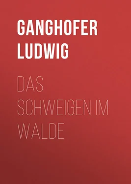 Ludwig Ganghofer Das Schweigen im Walde обложка книги