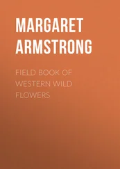 Margaret Armstrong - Field Book of Western Wild Flowers