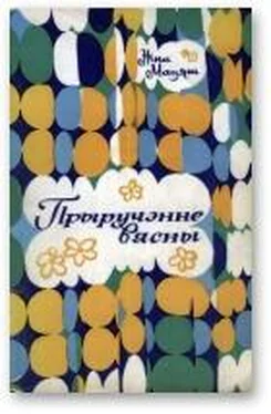 Ніна Мацяш Прыручэнне вясны обложка книги