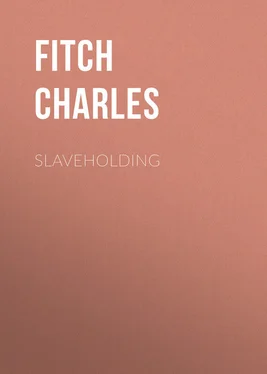 Charles Fitch Slaveholding обложка книги