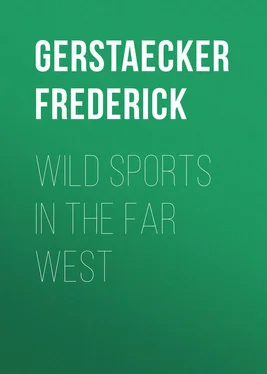 Frederick Gerstaecker Wild Sports In The Far West обложка книги