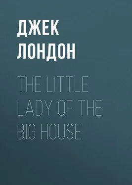 Джек Лондон The Little Lady of the Big House обложка книги